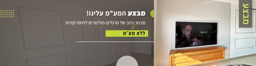 מבצע חיפוי לאתר פולידור נתניה חדש